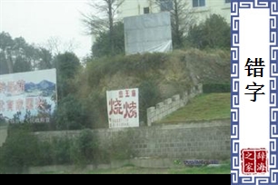 错字的意思、造句、反义词