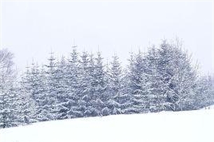 洁白的意思、造句、近义词