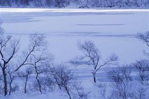 严寒的意思、造句、反义词