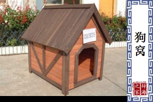 狗窝