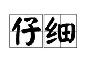 仔细的意思、造句、反义词