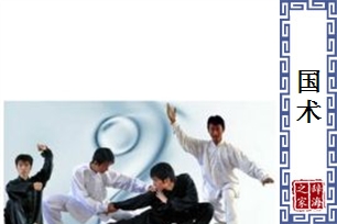 国术