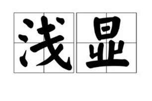 浅显的意思、造句、反义词