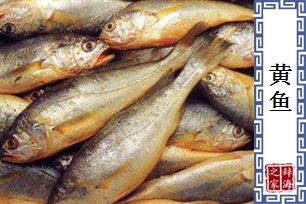 黄鱼