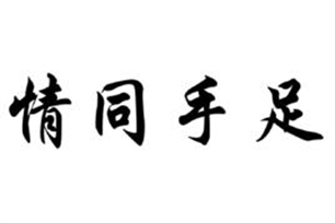 情同手足的意思、造句、近义词