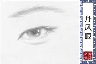 丹凤眼