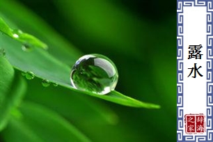 露水
