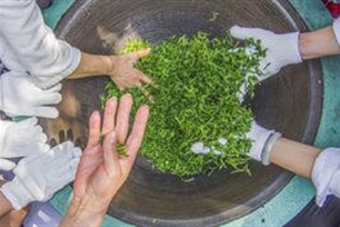 杀青的意思、造句、近义词