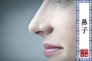 鼻子