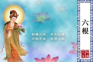 六根