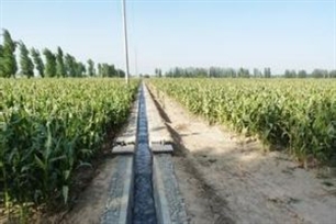 毛渠的意思、造句、反义词