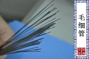 毛细管