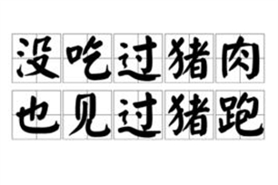 没吃过猪肉，也见过猪跑