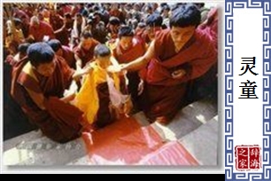 灵童