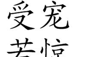 受宠若惊的意思、造句、反义词
