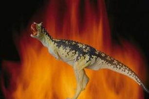 特效的意思、造句、近义词