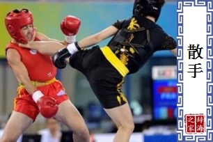 散手