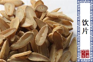 饮片