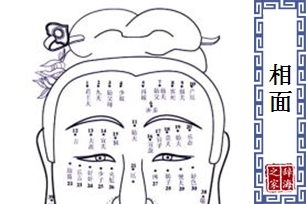 相面
