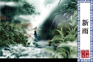 新雨
