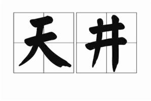 天井的意思、造句、近义词