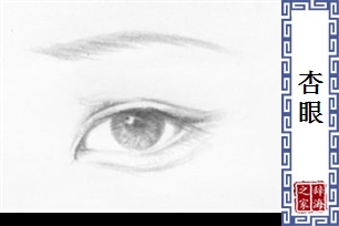 杏眼