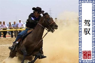 驾驭的意思、造句、近义词