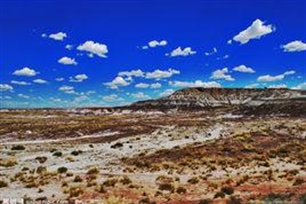 戈壁的意思、造句、近义词