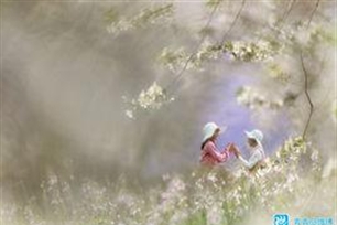 定数的意思、造句、近义词