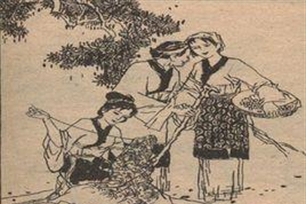 絮絮叨叨的意思、造句、近义词