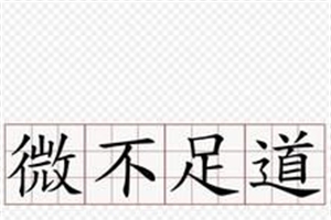 微不足道的意思、造句、近义词