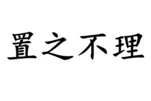 置之不理的意思、造句、反义词