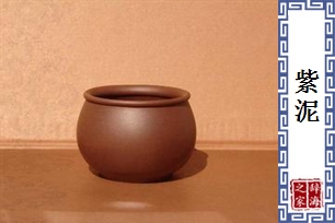 紫泥