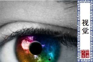 视觉