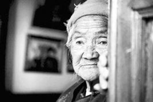 赡养的意思、造句、近义词