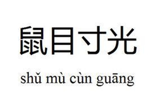鼠目寸光的意思、造句、反义词