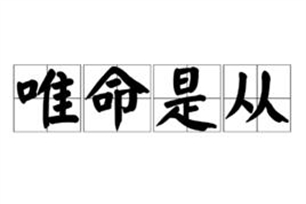 唯命是从的意思、造句、反义词