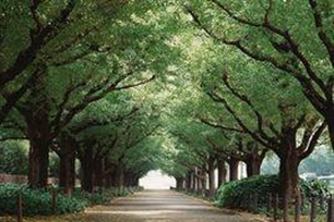 阴凉的意思、造句、近义词