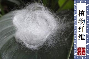 植物纤维