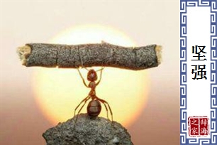 坚强的意思、造句、近义词