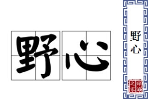 野心的意思、造句、近义词