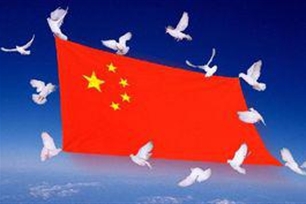 弘扬的意思、造句、近义词