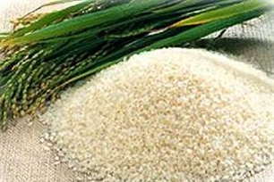 粳米