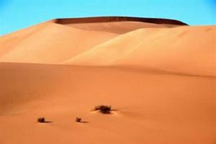 沙漠的意思、造句、近义词