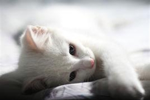 惆怅的意思、造句、反义词