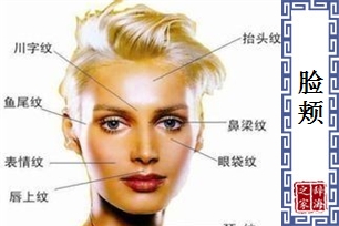 脸颊的意思、造句、近义词