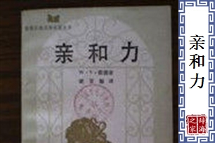 亲和力