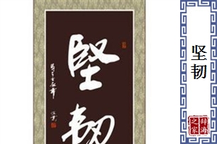 坚韧的意思、造句、反义词