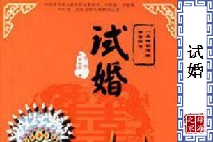 试婚