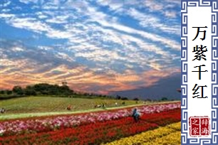 万紫千红